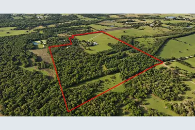 7396 County Road 204, Plantersville, TX 77363 - Photo 3