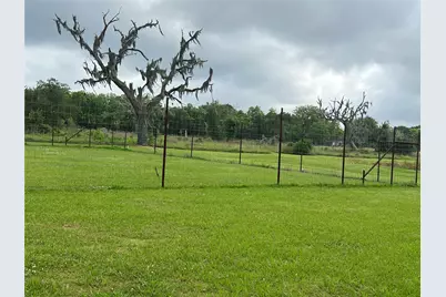 2797 County Road 519, Brazoria, TX 77422 - Photo 13