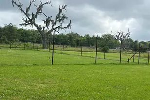 2797 County Rd 519, Brazoria, TX 77422 - Photo 13