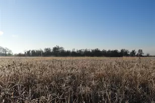 188 Highland Branch Dr Dr, Cameron, TX 76520 - Photo 1