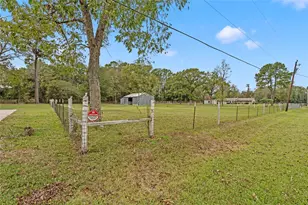 21802 Baumgartner Dr, Humble, TX 77338 - Photo 23