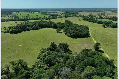 Tract #9 Cr 305 Road, Navasota, TX 77868 - Photo 21