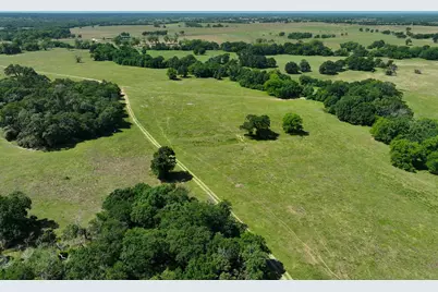 Tract #9 Cr 305 Road, Navasota, TX 77868 - Photo 3