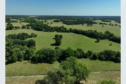 Tract #9 Cr 305 Road, Navasota, TX 77868 - Photo 19
