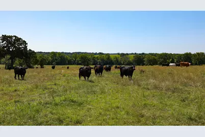 Tract #9 Cr 305 Road, Navasota, TX 77868 - Photo 17