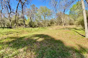 361 Beaver Run, Grapeland, TX 75844 - Photo 5