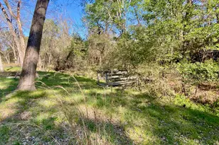 361 Beaver Run, Grapeland, TX 75844 - Photo 3