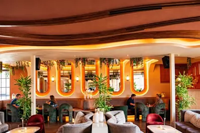 2119 Taft Street, Houston, TX 77006 - Photo 43