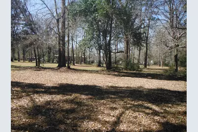 11585 Duffy Road Road, Conroe, TX 77302 - Photo 5