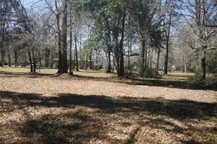 11585 Duffy Road Rd, Conroe, TX 77302 - Photo 5