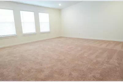 3518 Windmill Palm Drive, Manvel, TX 77578 - Photo 25