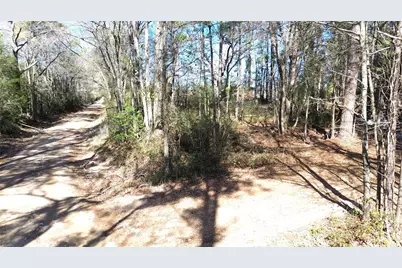 000 Cr 4120, Crockett, TX 75835 - Photo 9