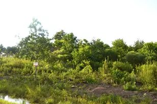 603 Rd 5516, Cleveland, TX 77327 - Photo 1