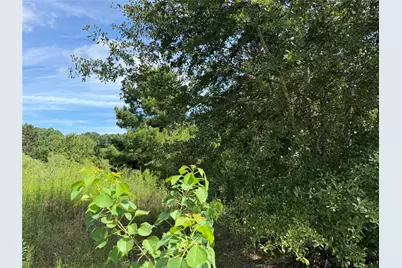 69 County Road 3404, Cleveland, TX 77327 - Photo 5