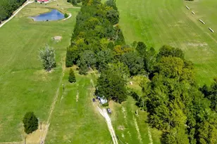 20645 FM350N, Moscow, TX 75960 - Photo 5