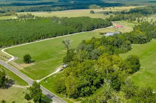 20645 FM350N, Moscow, TX 75960 - Photo 9
