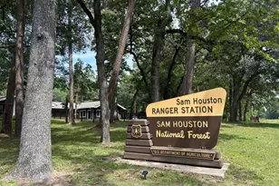 19645 Montgomery Rdg Wy, Montgomery, TX 77316 - Photo 35