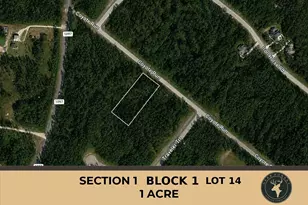 30 Coyote Run, Willis, TX 77378 - Photo 1