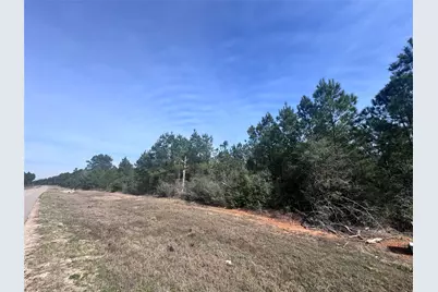 15576 Forest Grove Drive, Willis, TX 77378 - Photo 7