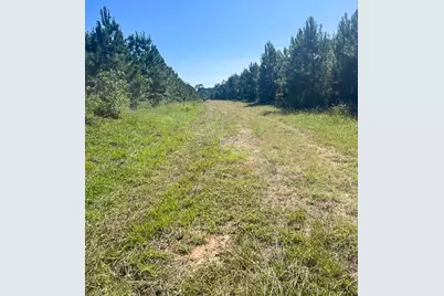00 Midway Loop, Livingston, TX 77351 - Photo 15