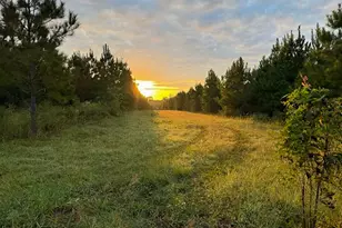 00 Midway Loop, Livingston, TX 77351 - Photo 1