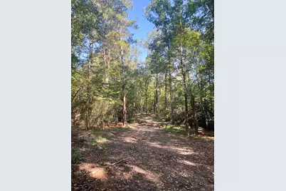 00 Midway Loop, Livingston, TX 77351 - Photo 7
