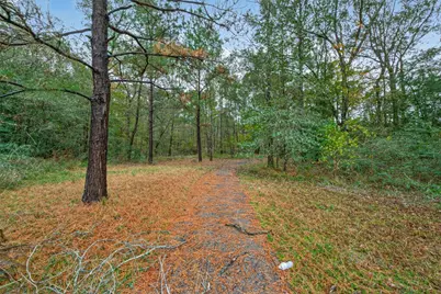11497 Coon Hollow Road, Conroe, TX 77306 - Photo 21