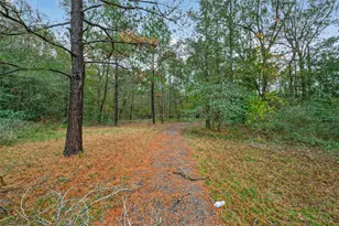 11497 Coon Hollow Rd, Conroe, TX 77306 - Photo 21