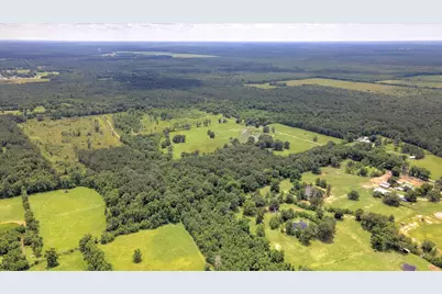 00 Lloyd Fregia Road, Batson, TX 77519 - Photo 17