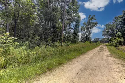 00 Lloyd Fregia Road, Batson, TX 77519 - Photo 3