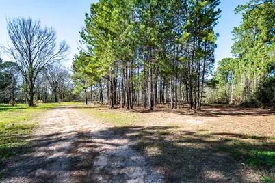 31865 Fm 1485 Road, New Caney, TX 77357 - Photo 9