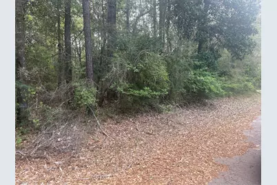 Lot 8 Chestnut Circle, Village Mills, TX 77663 - Photo 1