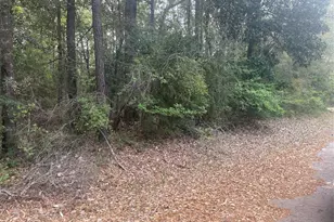 Lot 8 Chestnut Circle, Village Mills, TX 77663 - Photo 1