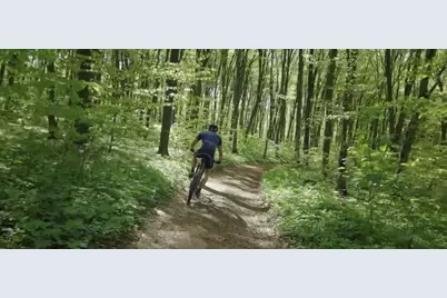 41754 Wendele Way, Montgomery, TX 77316 - Photo 11