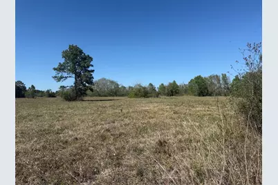 12217 Fm 1462, Alvin, TX 77511 - Photo 5