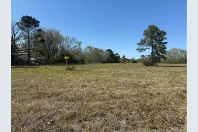 12217 Fm 1462, Alvin, TX 77511 - Photo 3