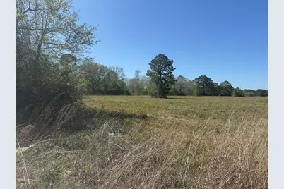 12217 Fm 1462, Alvin, TX 77511 - Photo 7