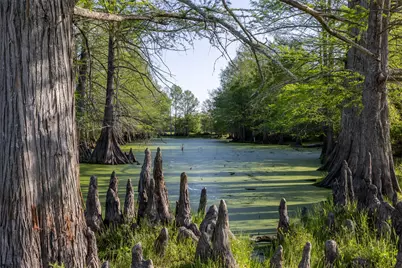 000 Clear Lake Road, Bryan, TX 77808 - Photo 13