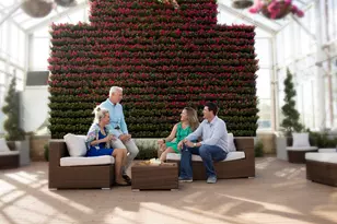 6714 Pine Haven Ct, Katy, TX 77493 - Photo 11