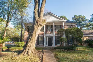 3 Sheep Meadow Pl, The Woodlands, TX 77381 - Photo 1