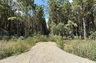 5700 Black Cat Rd, Sour Lake, TX 77659 - Photo 1