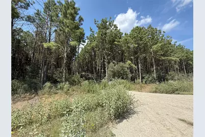 5700 Black Cat Road, Sour Lake, TX 77659 - Photo 5