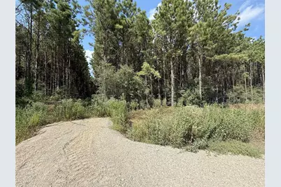 5700 Black Cat Road, Sour Lake, TX 77659 - Photo 3