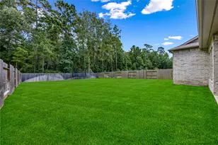 626 Bronze Bristol St, Montgomery, TX 77316 - Photo 39
