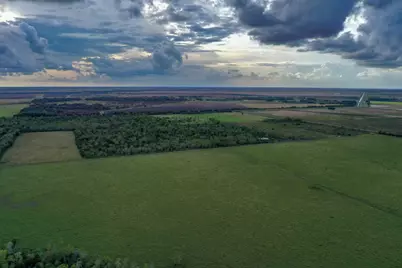 Tbd Boswick, Liverpool, TX 77577 - Photo 9