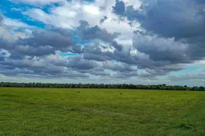 Tbd Boswick, Liverpool, TX 77577 - Photo 19