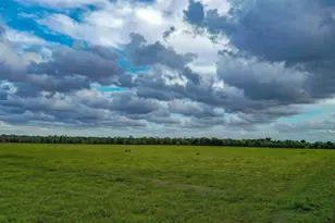 Tbd Boswick, Liverpool, TX 77577 - Photo 19