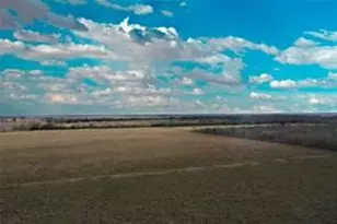 Tbd Boswick, Liverpool, TX 77577 - Photo 23