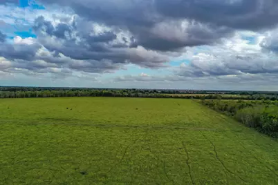 Tbd Boswick, Liverpool, TX 77577 - Photo 3