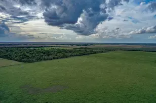 Tbd Boswick, Liverpool, TX 77577 - Photo 11